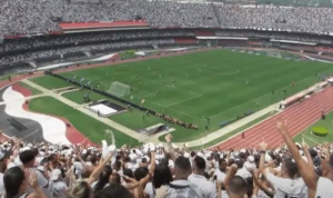 Leia mais sobre o artigo Santos FC desiste de mandar jogo contra o Flamengo no Morumbi